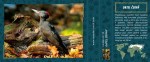 datel-cerny-22145