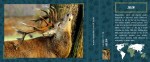 jelen-206325