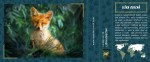 liska-obecna-222199