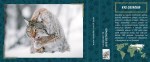 rys-ostrovid-25834
